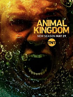 Animal Kingdom S03E09 FRENCH HDTV