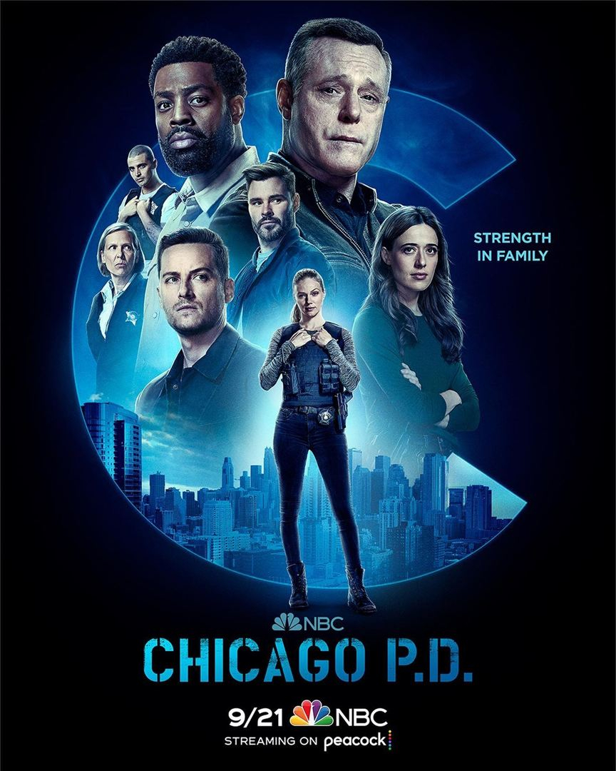 Chicago Police Department S10E14 FINAL VOSTFR HDTV