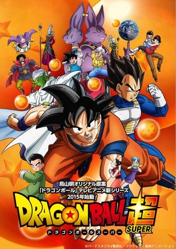 Dragon Ball Super 017 FRENCH HDTV