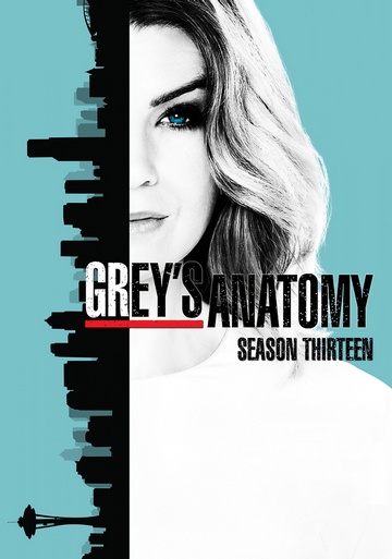 Grey's Anatomy S13E14 FRENCH HDTV