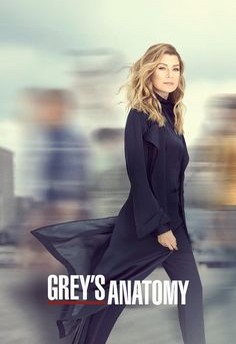 Greys Anatomy S16E09 VOSTFR HDTV