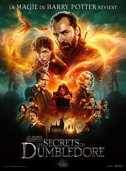 Les Animaux Fantastiques : les Secrets de Dumbledore TRUEFRENCH WEBRIP MD 1080p 2022