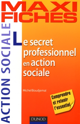 Maxi fiches Le secret professionnel en action sociale PDF