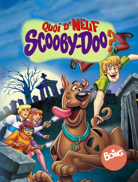 Quoi d'neuf Scooby-Doo (Integrale) FRENCH HDTV